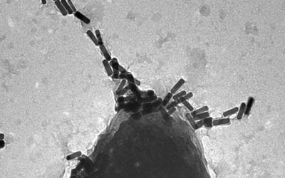 Controlled phage therapy
