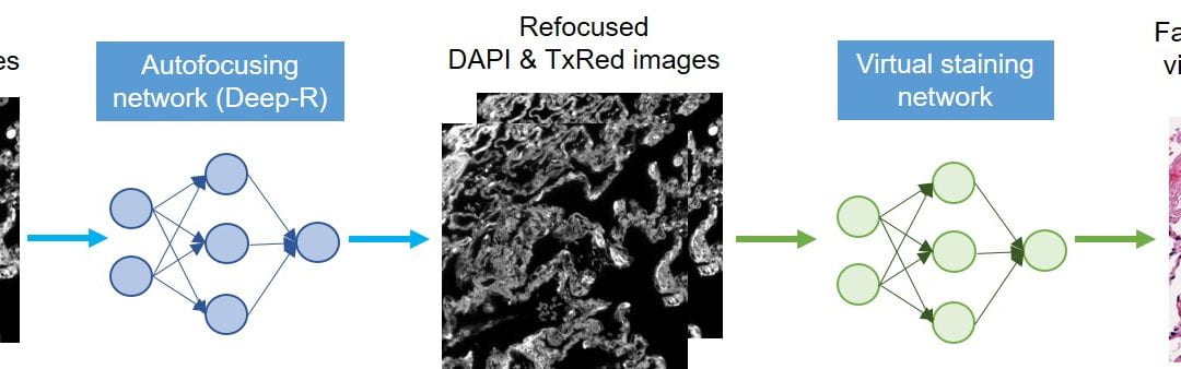 Virtual staining of defocused autofluorescence images of unlabeled tissue using deep neural networks