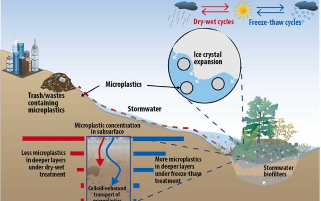 Mobility of polypropylene microplastics in stormwater biofilters under freeze-thaw cycles