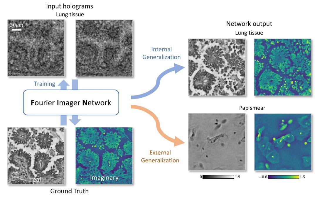 Fourier Imager Network (FIN): A deep neural network for hologram reconstruction with superior external generalization