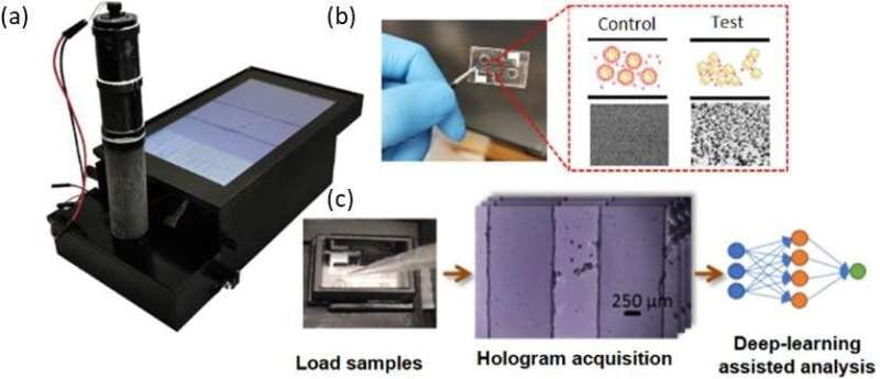 Deep learning and holography create a better point-of-care sensor