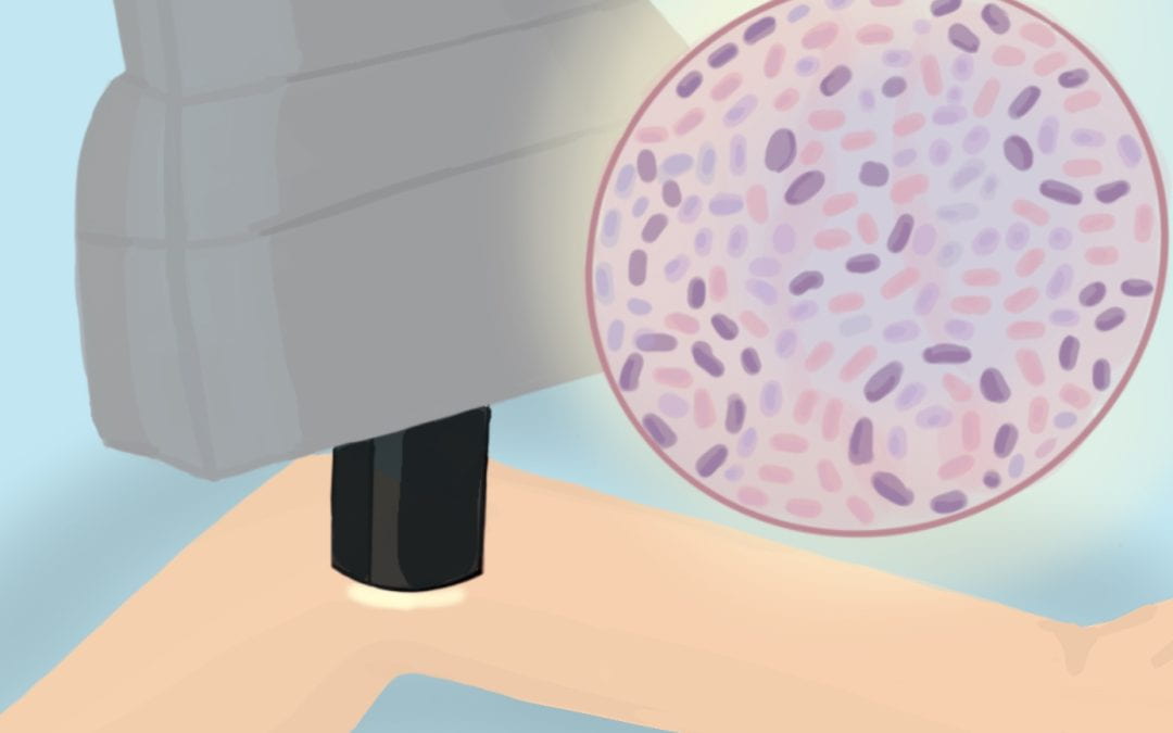 UCLA researchers streamline skin tissue analysis with virtual staining technique